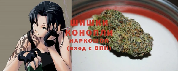 стафф Богородск