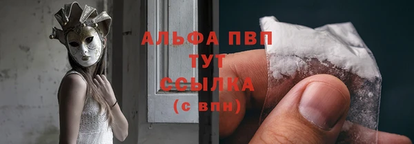стафф Богородск